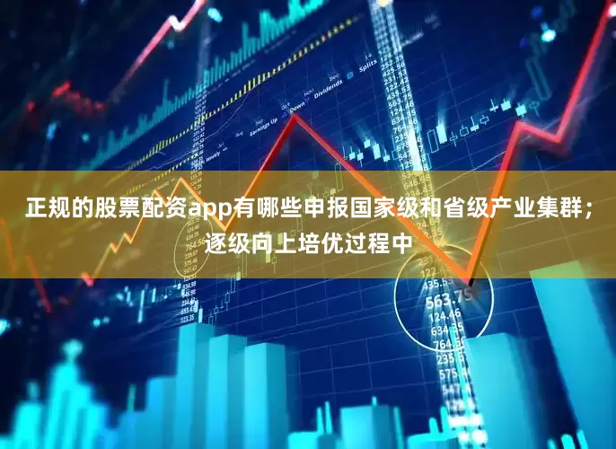 正规的股票配资app有哪些申报国家级和省级产业集群；逐级向上培优过程中