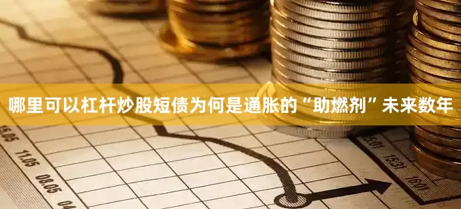哪里可以杠杆炒股短债为何是通胀的“助燃剂”未来数年