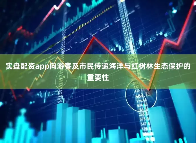 实盘配资app向游客及市民传递海洋与红树林生态保护的重要性
