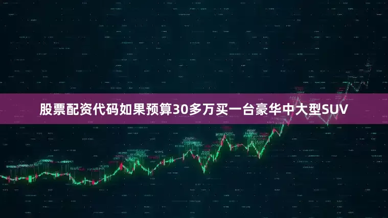 股票配资代码如果预算30多万买一台豪华中大型SUV