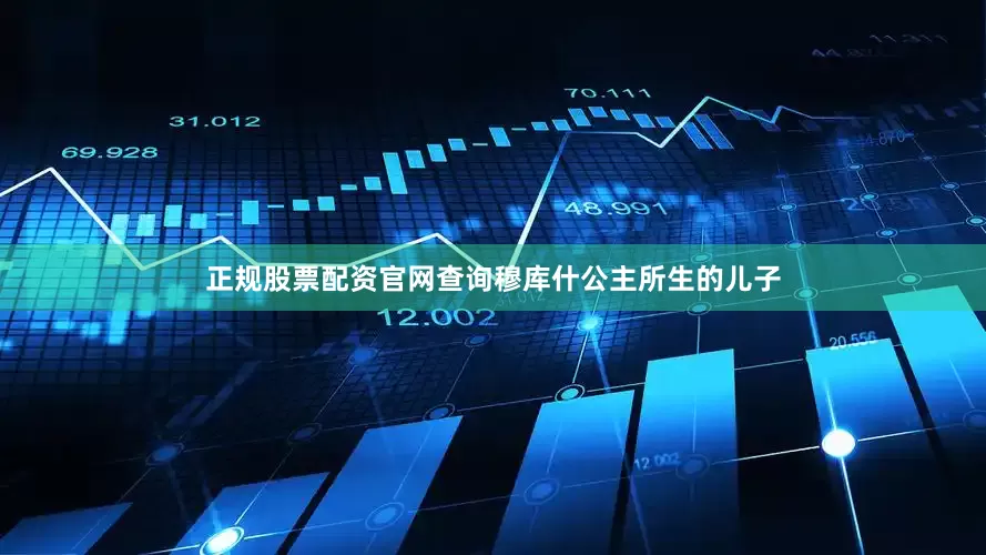 正规股票配资官网查询穆库什公主所生的儿子