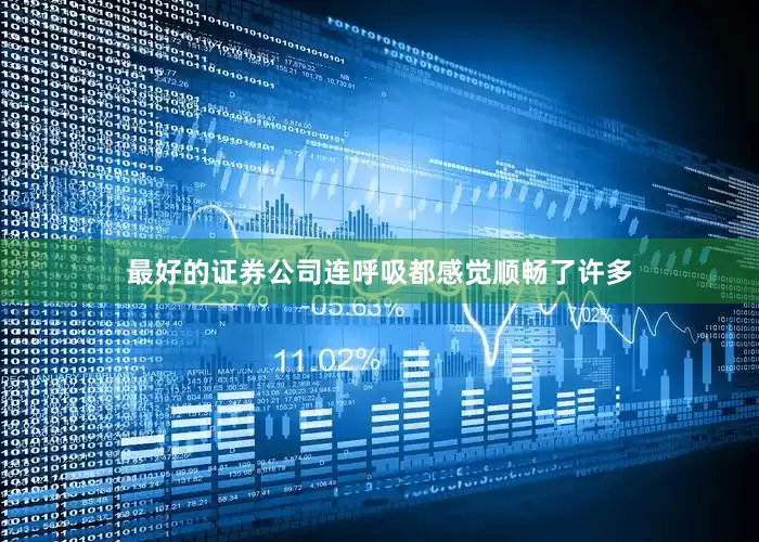 最好的证券公司连呼吸都感觉顺畅了许多