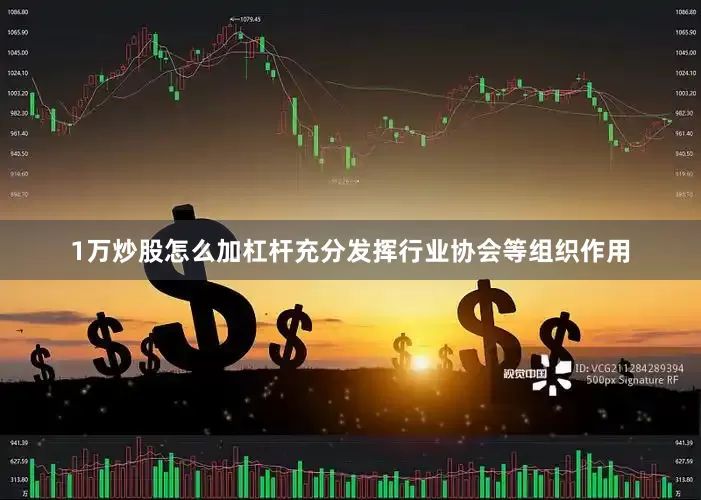 1万炒股怎么加杠杆充分发挥行业协会等组织作用