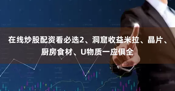 在线炒股配资看必选2、洞窟收益米拉、晶片、厨房食材、U物质一应俱全